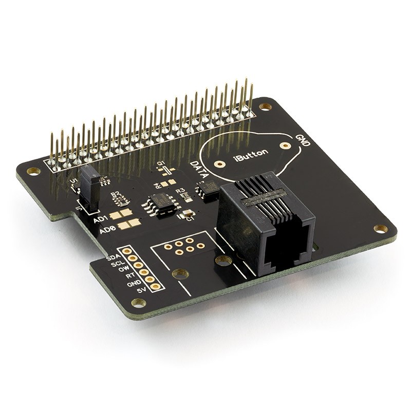 1 Wire Pi Plus