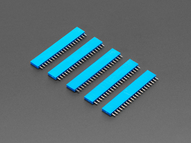 20-pin 0.1" Female Header - Blue - 5 pack