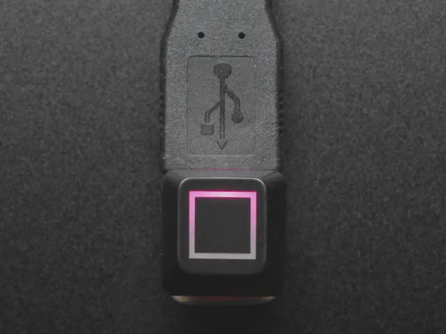 Etched Glow-Through Keycap - Zener ESP Square Design