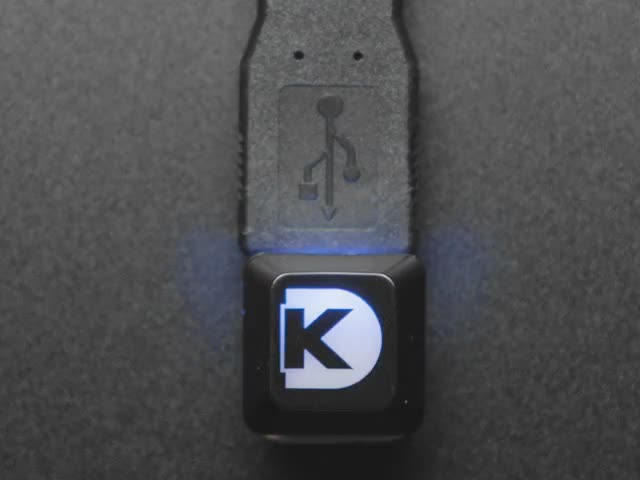 Etched Glow-Through Keycap with Digi-Key Logo