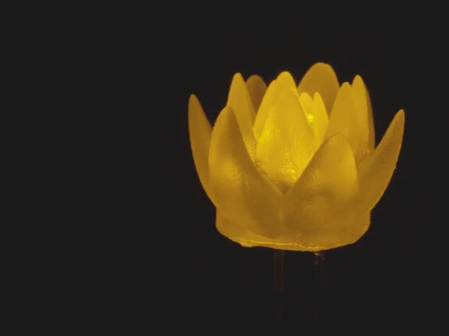 dLUX-dLITE Yellow Succulent Shape LEDs 5 Pack by Unexpected Labs