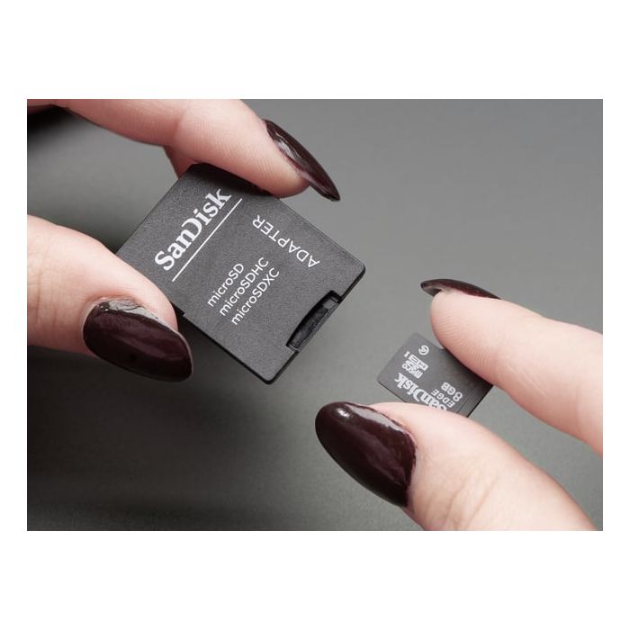 SD/MicroSD Memory Card (8 GB SDHC)