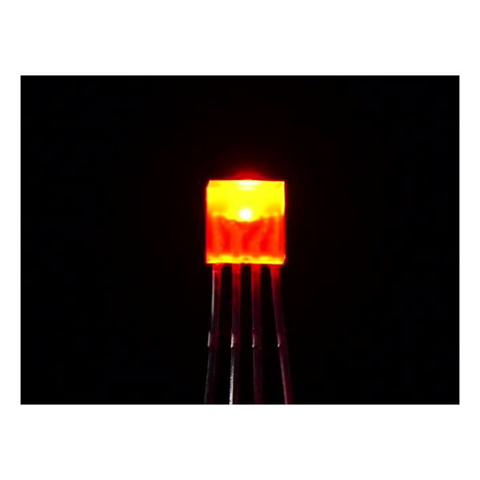 Diffused Rectangular 5mm RGB LEDs - Pack of 10