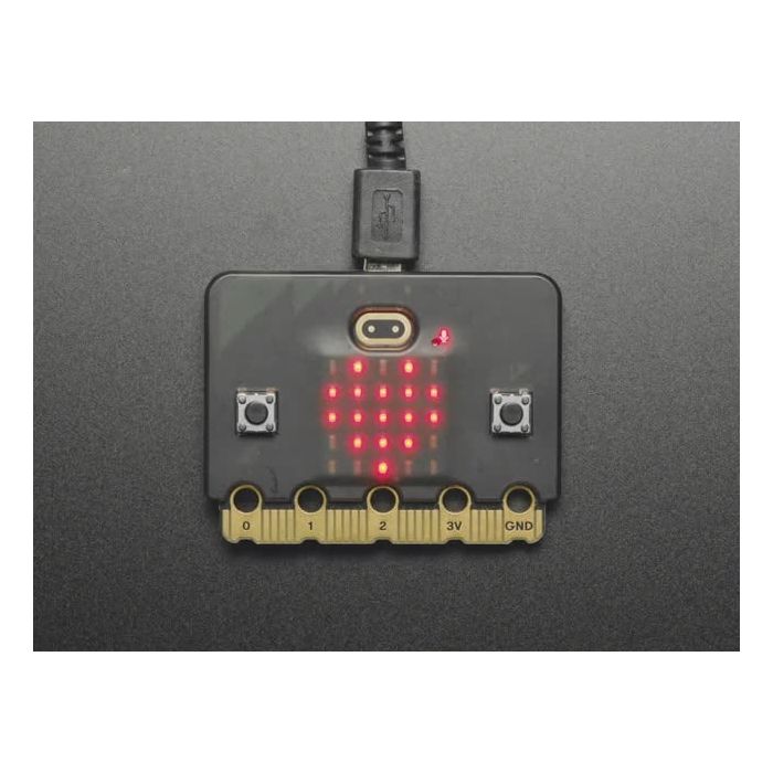 Smoke Snap-on Case for micro:bit V2