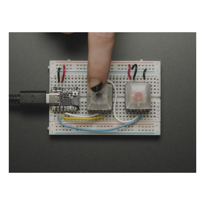 NeoKey Socket Breakout for Mechanical Key Switches with NeoPixel