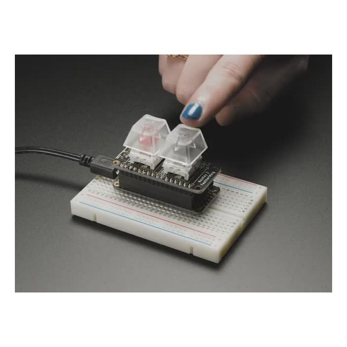 NeoKey FeatherWing - Two Mechanical Key Switches with NeoPixels