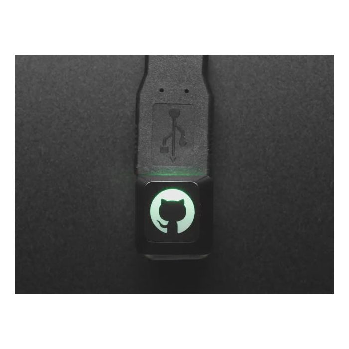 Etched Glow-Through Keycap with GitHub Octocat Logo