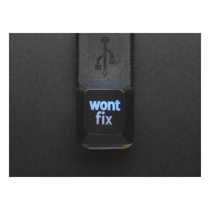 Etched Glow-Through Keycap with "wont fix" Text