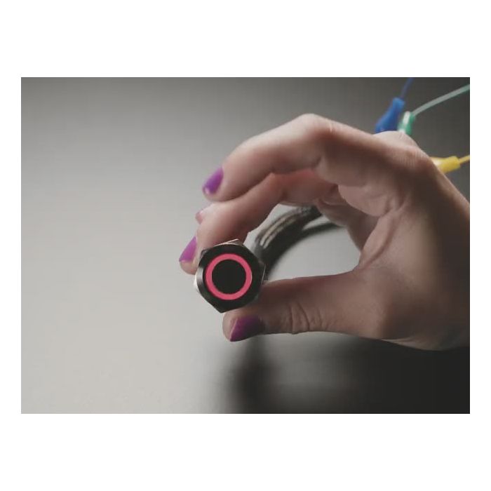 ChromaTek 19mm Rugged Momentary Metal Pushbutton with NeoPixel