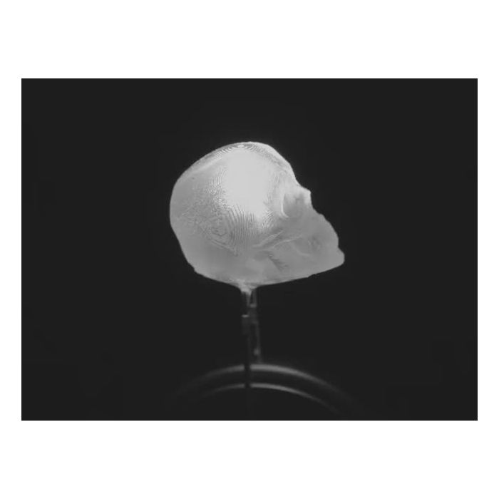 dLUX-dLITE Cool White Skull Shape LEDs 5 Pack by Unexpected Labs