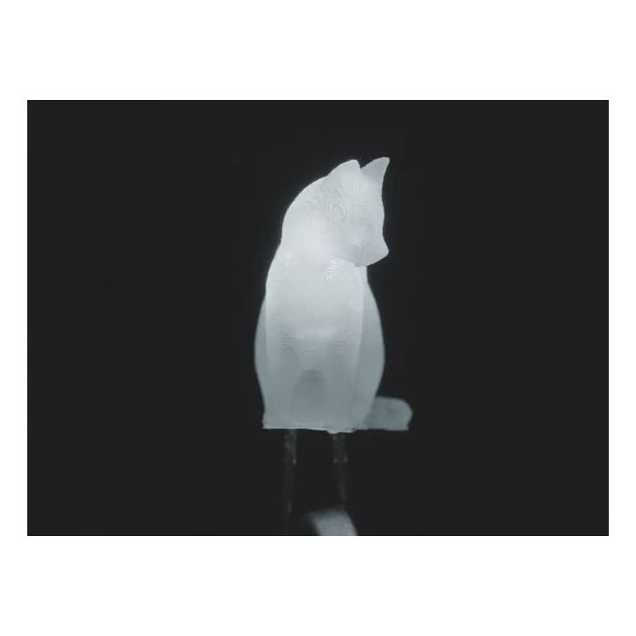 dLUX-dLITE Cool White Kitty Shape LEDs 5 Pack by Unexpected Labs