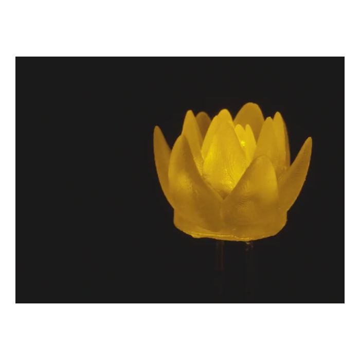dLUX-dLITE Yellow Succulent Shape LEDs 5 Pack by Unexpected Labs