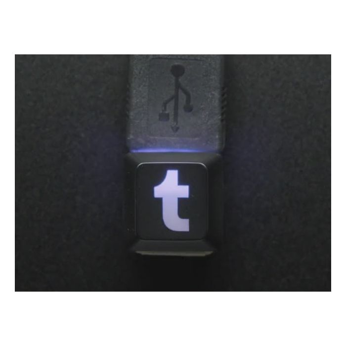 Tumblr Etched R4 Keycap for MX Compatible Switches