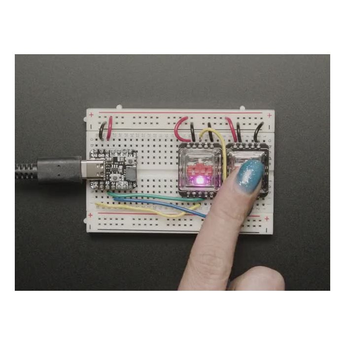 NeoKey Socket Breakout for CHOC Key Switches with NeoPixel