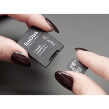 SD/MicroSD Memory Card (8 GB SDHC)