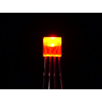 Diffused Rectangular 5mm RGB LEDs - Pack of 10