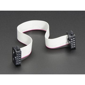 10-pin Socket/Socket IDC cable - 6"