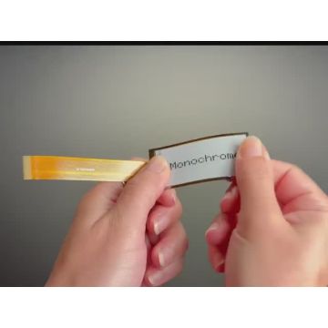 2.13" 212x104 Flexible Monochrome / 4-Gray eInk ePaper Display