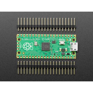 Raspberry Pi Pico RP2040 with Loose Unsoldered Headers
