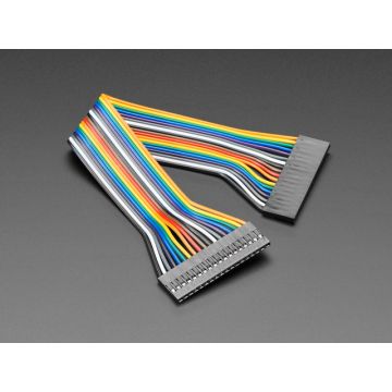 2.54mm 0.1" Pitch 18-pin Jumper Cable - 20cm long