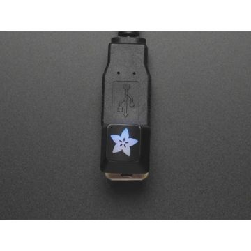 Adafruit Etched R4 Keycap for MX Compatible Switches