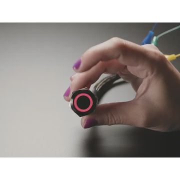 ChromaTek 19mm Rugged Momentary Metal Pushbutton with NeoPixel