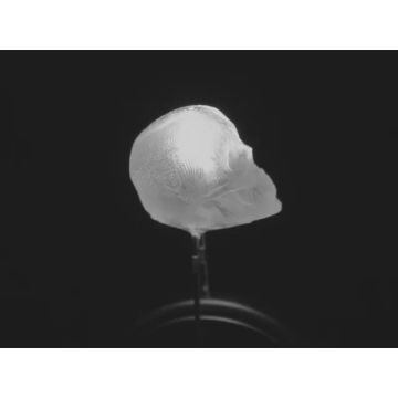 dLUX-dLITE Cool White Skull Shape LEDs 5 Pack by Unexpected Labs