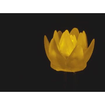 dLUX-dLITE Yellow Succulent Shape LEDs 5 Pack by Unexpected Labs