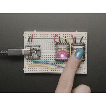 NeoKey Socket Breakout for CHOC Key Switches with NeoPixel
