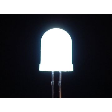 Diffused White 10mm LED (25 pack)