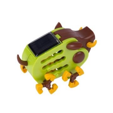 Everzwijn op Zonne-Energie