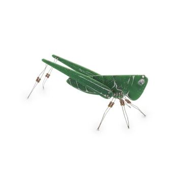 Whadda The Conehead WSAK207