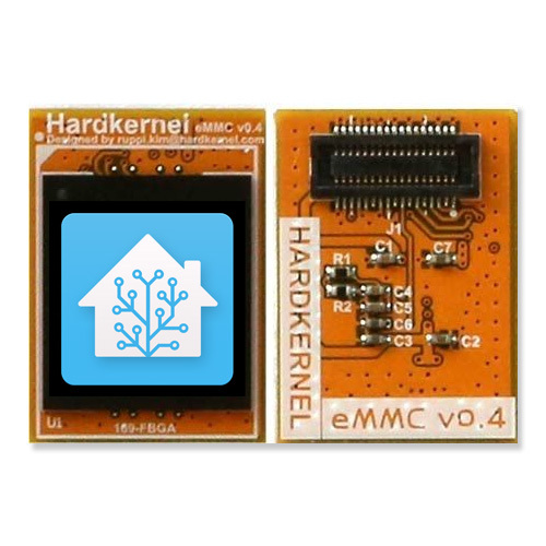 Home Assistant eMMc Module voor ODROID M1S - 32GB (Nog maar 1 op voorraad)