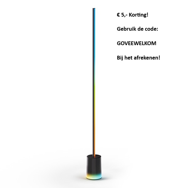 Govee Floor Lamp 2